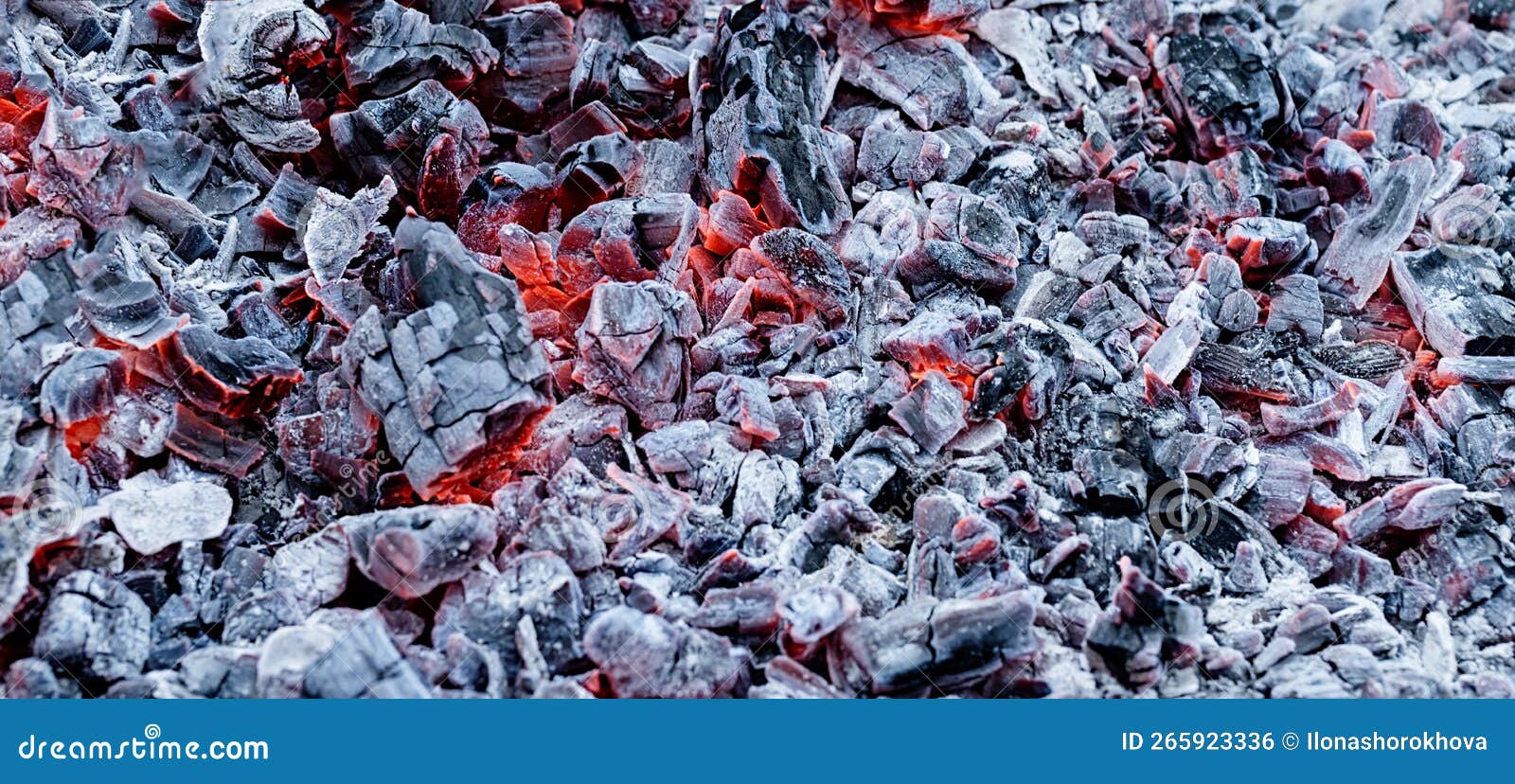 Wood coal and ash texture stock photo. Image of wood 265923336