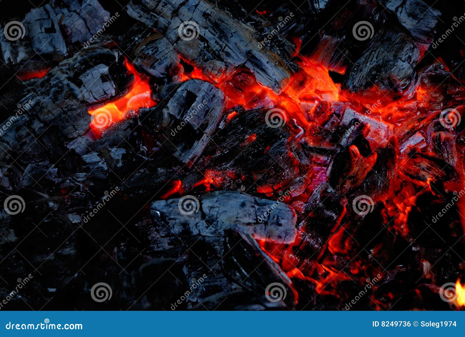 The Wood Coal Burns on Fire Stock Photo Image of blaze, energy 8249736