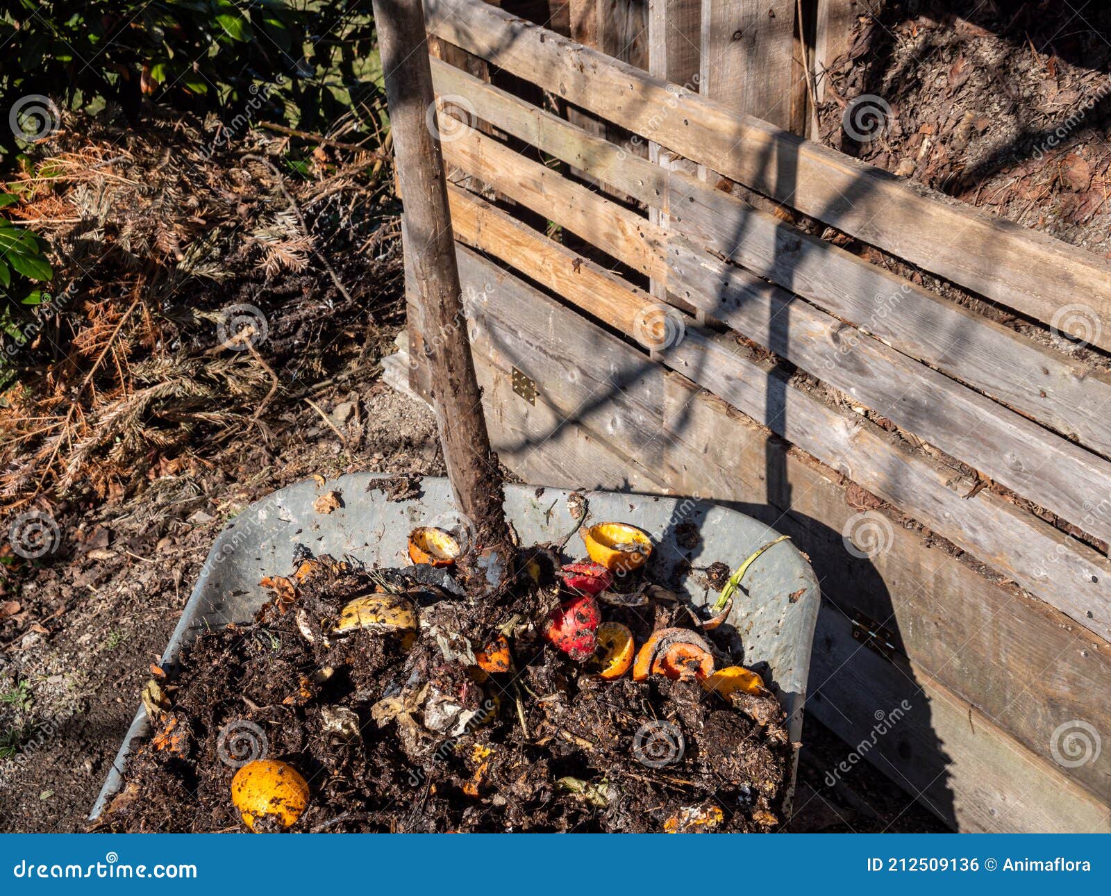 Wood Compost Bin In Winter, Food Waste Composted. Let's Protect Nature