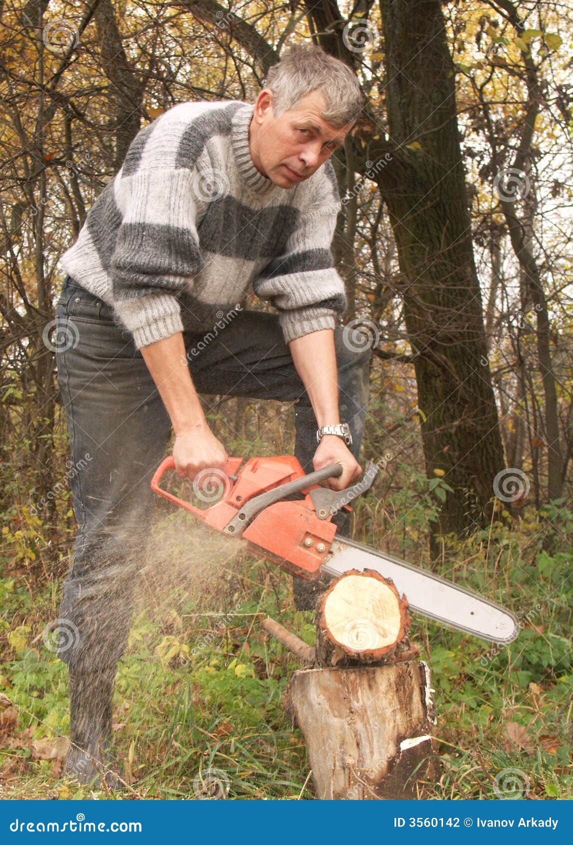 Woodcutter stock photo. Image of woodcutter, chain, lumberjack 3560142