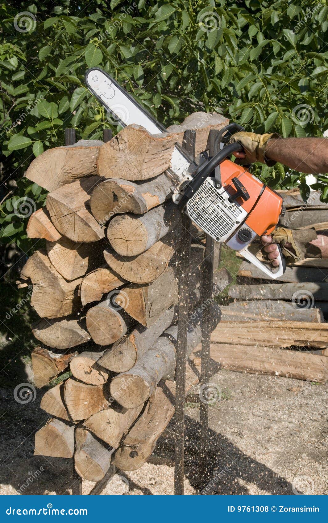 Wood cutting stock photo. Image of mechanical, woods ...