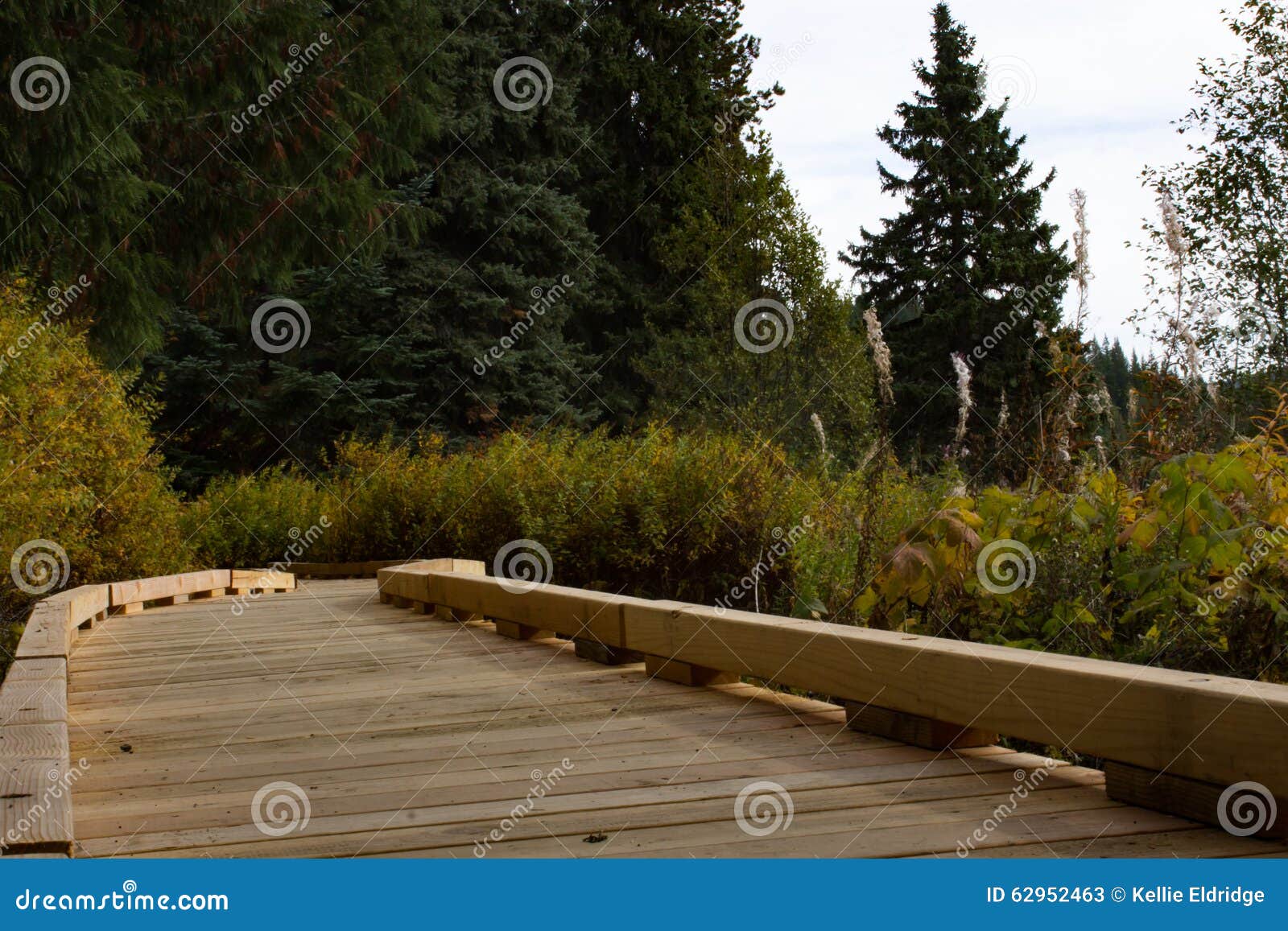 wood decking pathway