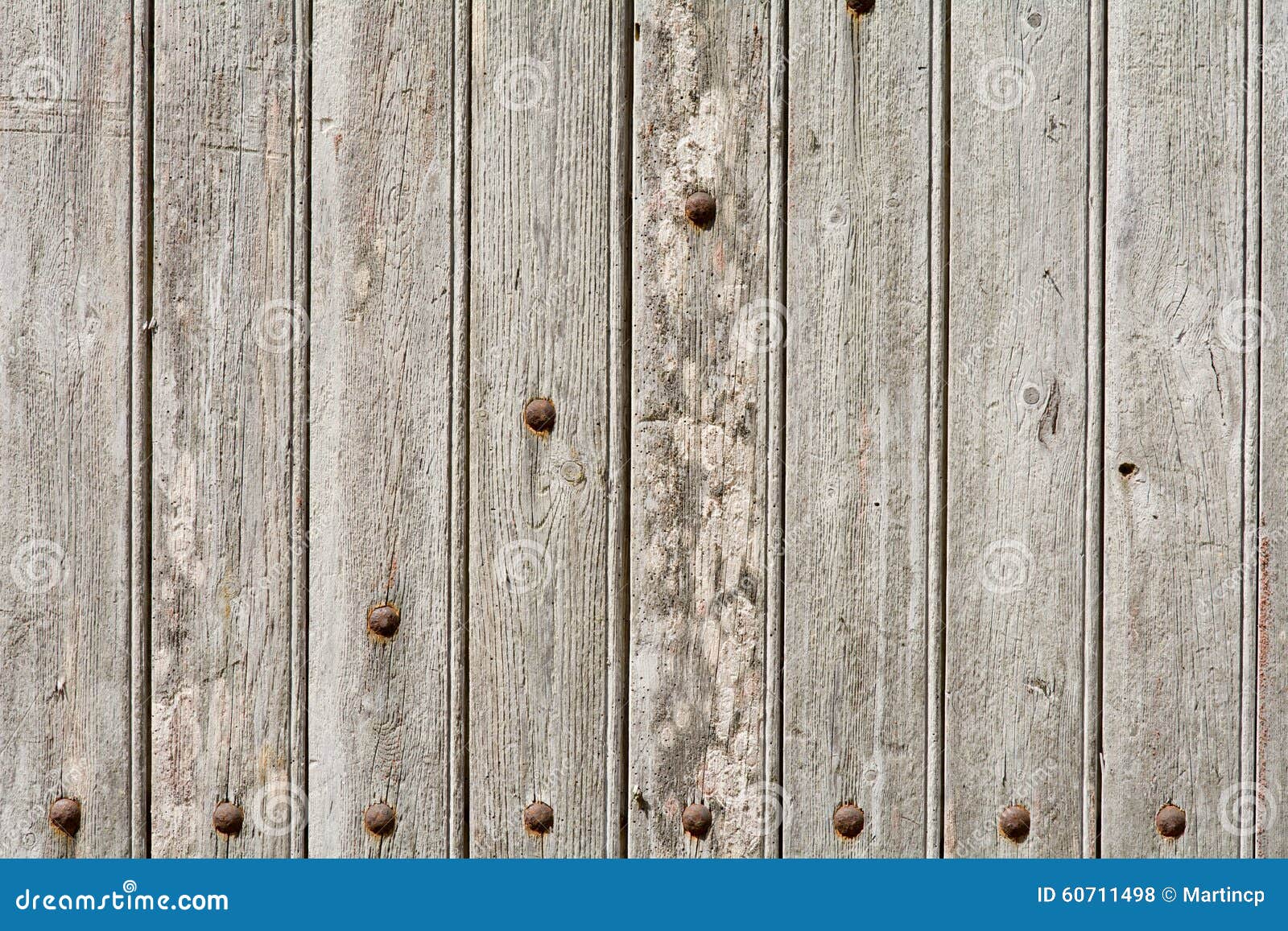 Wood Door with Panels and Rivets Stock Photo Image of knots, panels 60711498