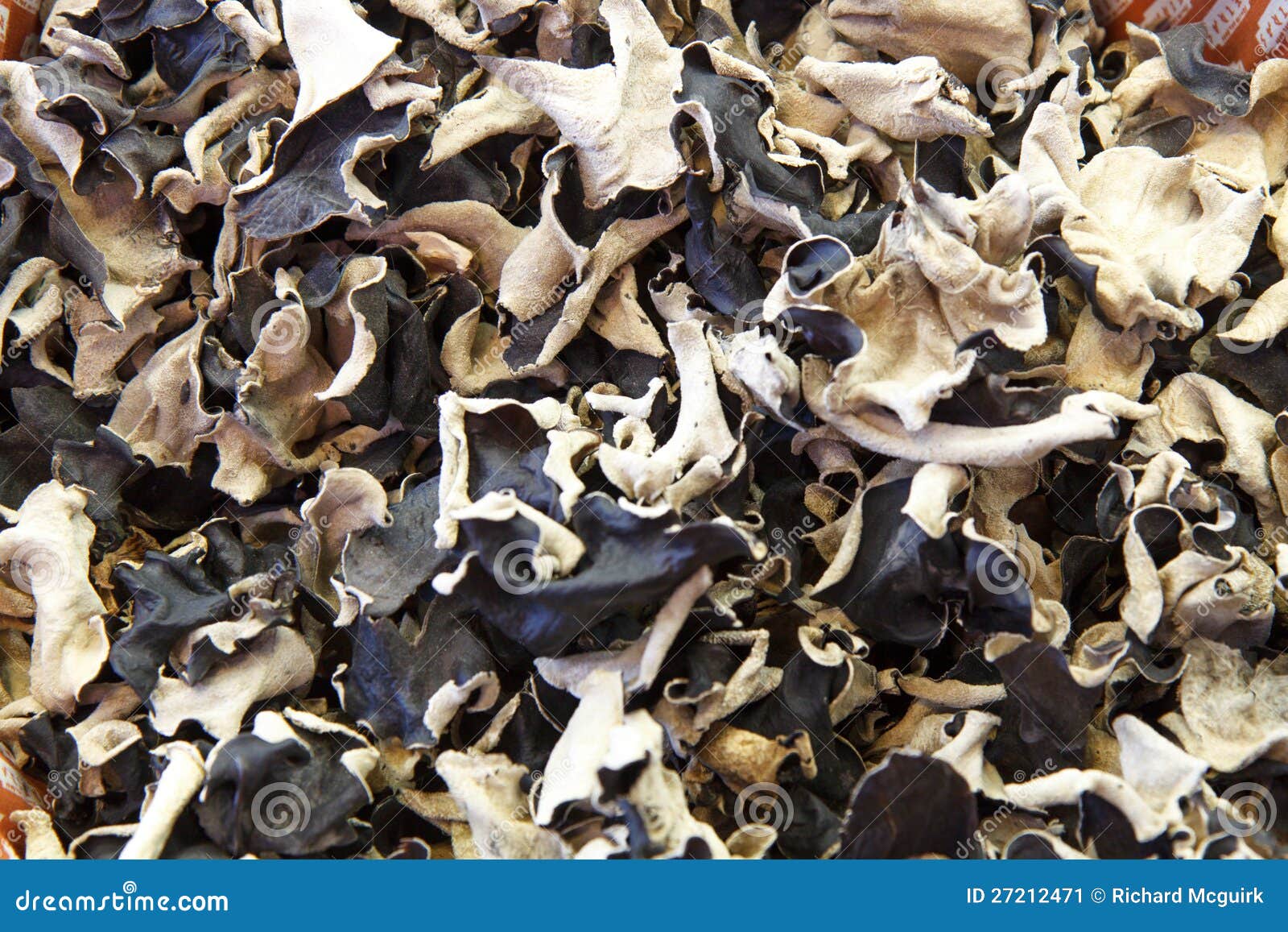 Wood ear mushrooms stock image. Image of backdrop, nature 27212471