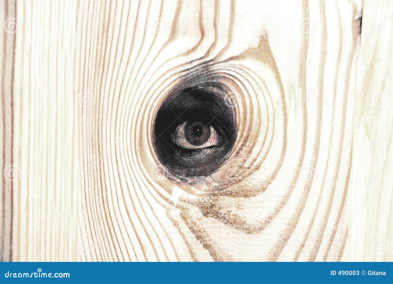 Wood eye stock illustration. Illustration of photomontage 490003