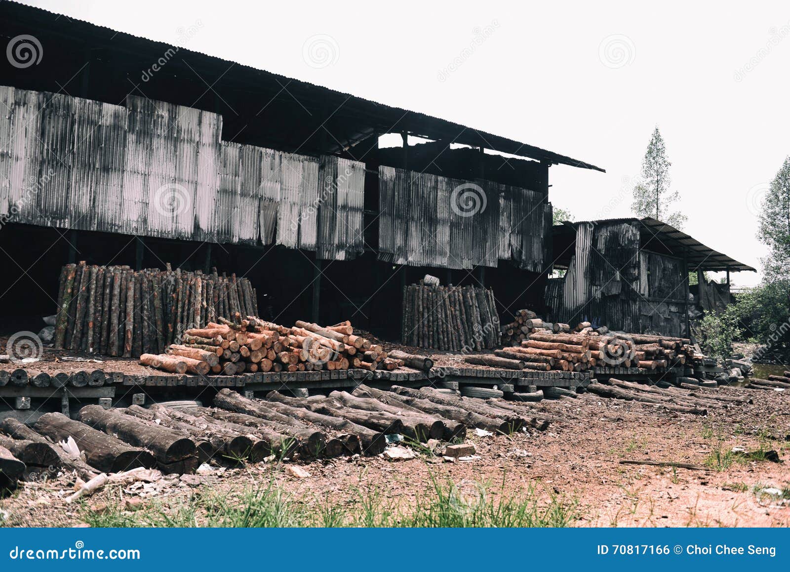 Wood factory stock photo. Image of stack, tree, factory 70817166