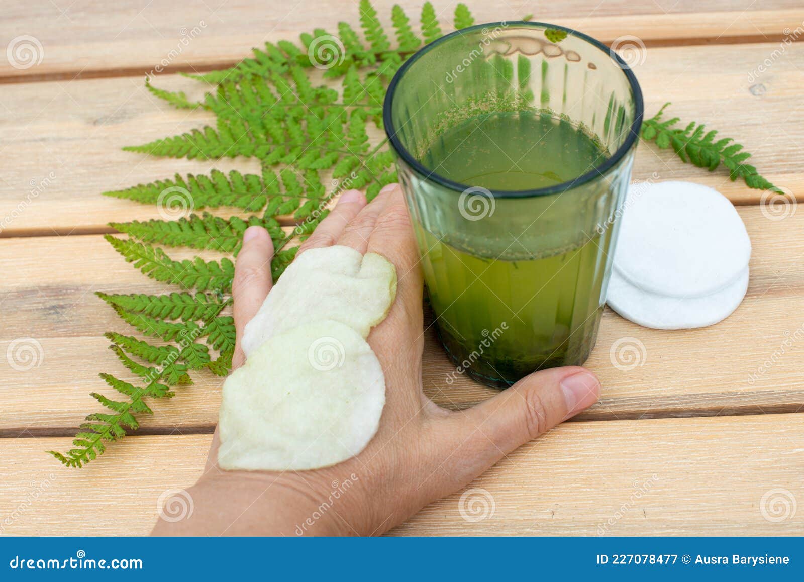 wood fern leaves decoction for wound healing applications and skin problems.