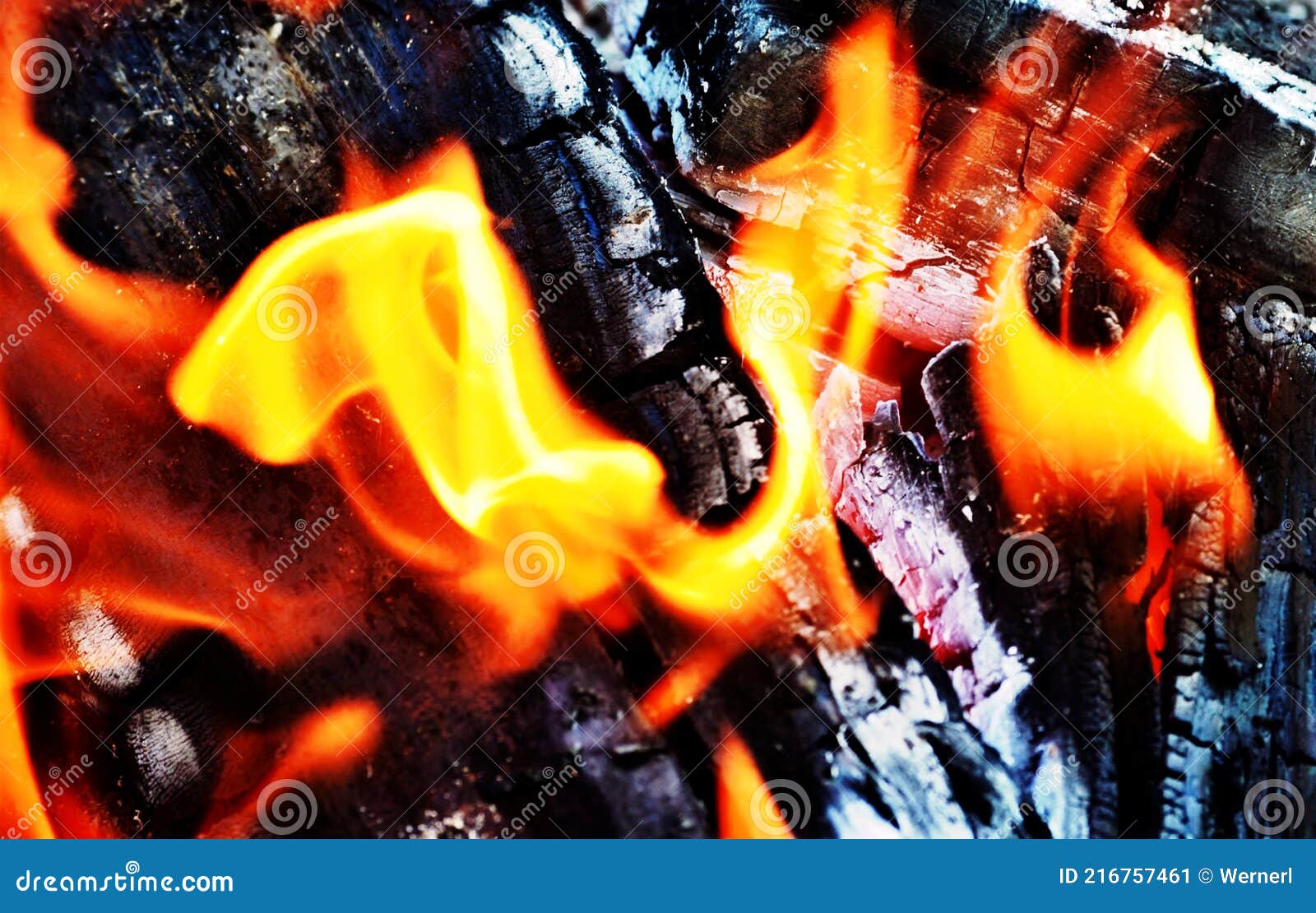 Wood fire stock image. Image of food, barbecue, garden 216757461