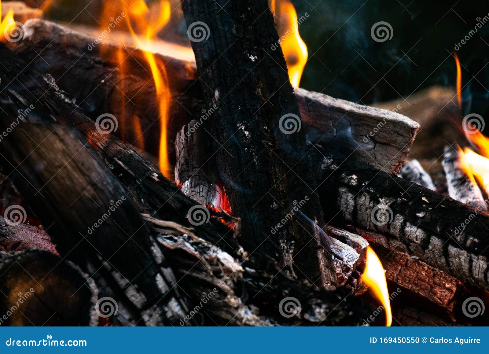 wood in the fire burning and turning ash