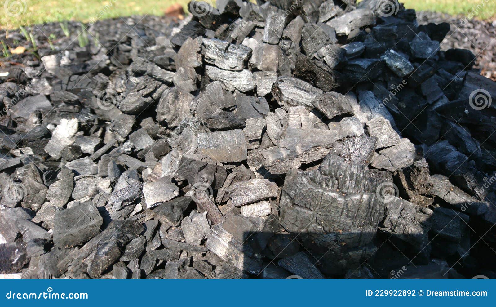 Wood firewood charcoal stock photo. Image of plant, wall 229922892