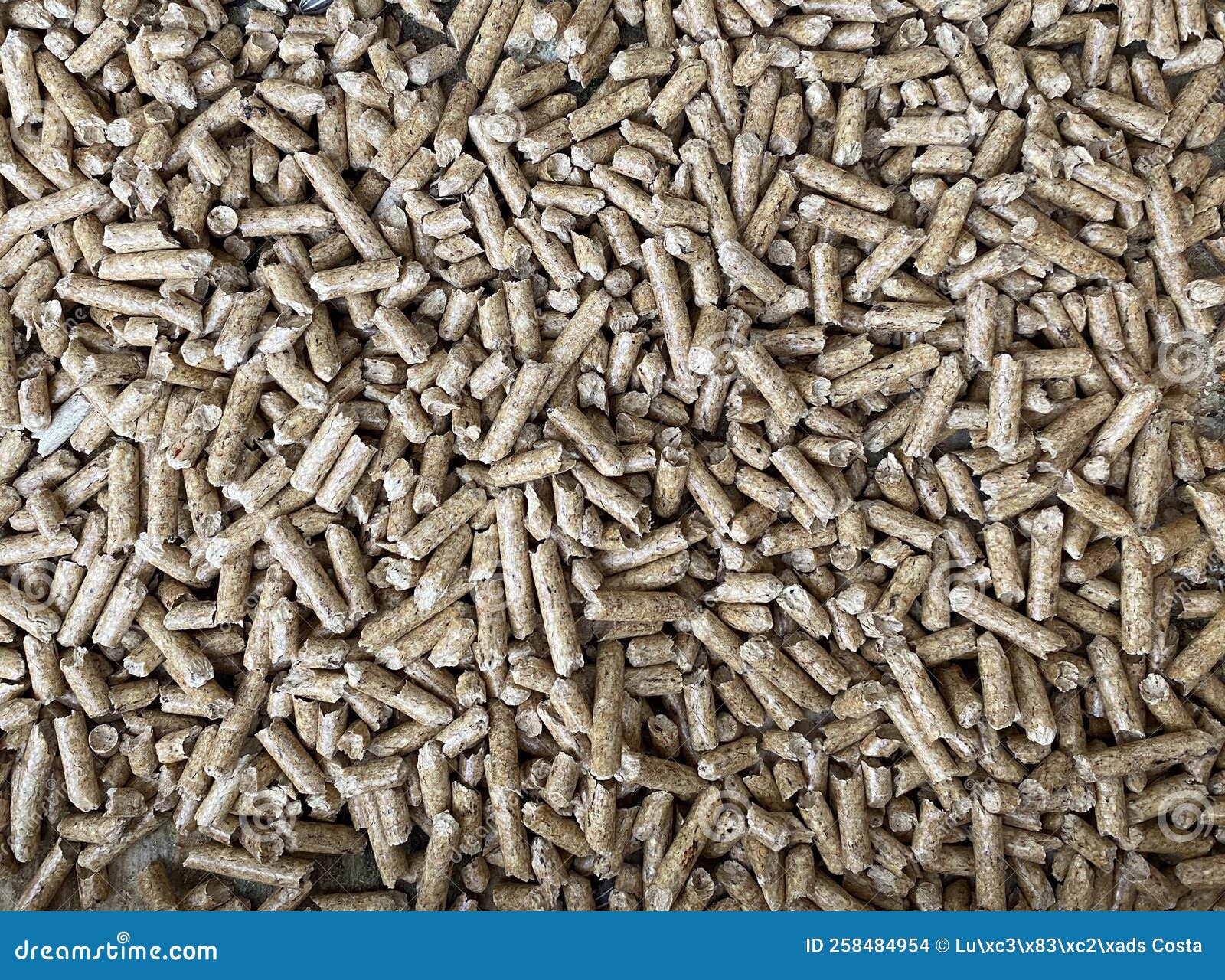 Wood fuel pellets stock photo. Image of litter, granule 258484954