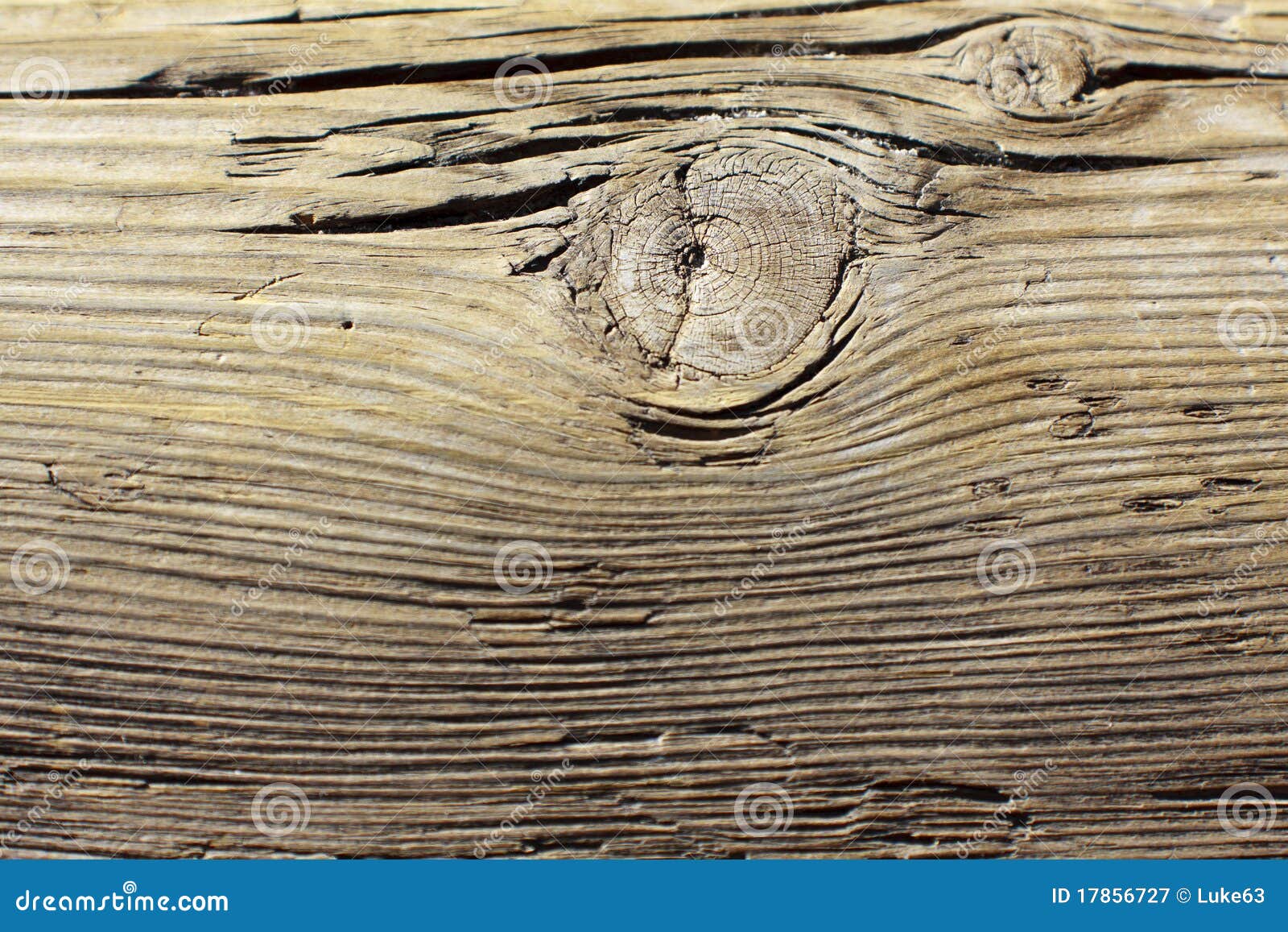 Wood grain stock image. Image of trunk, natural, wood 17856727