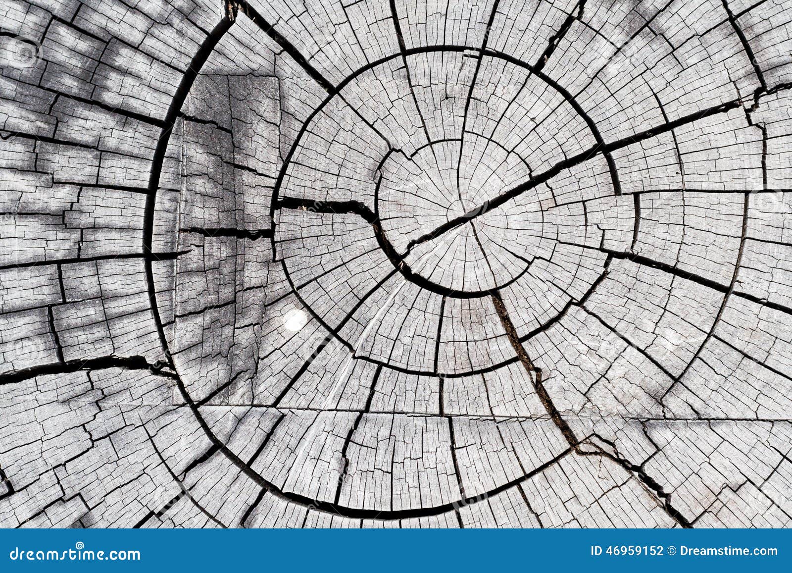 Wood Graphic Texture Stock Photo 46959152