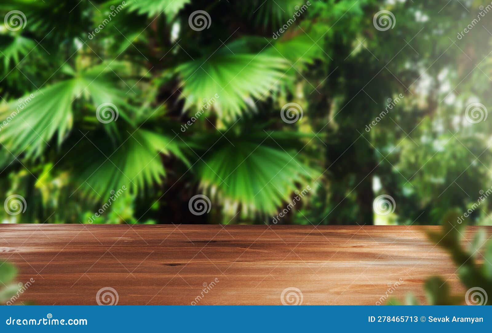 Wood with Green Leaves in Forest Stock Image Image of tree, nature