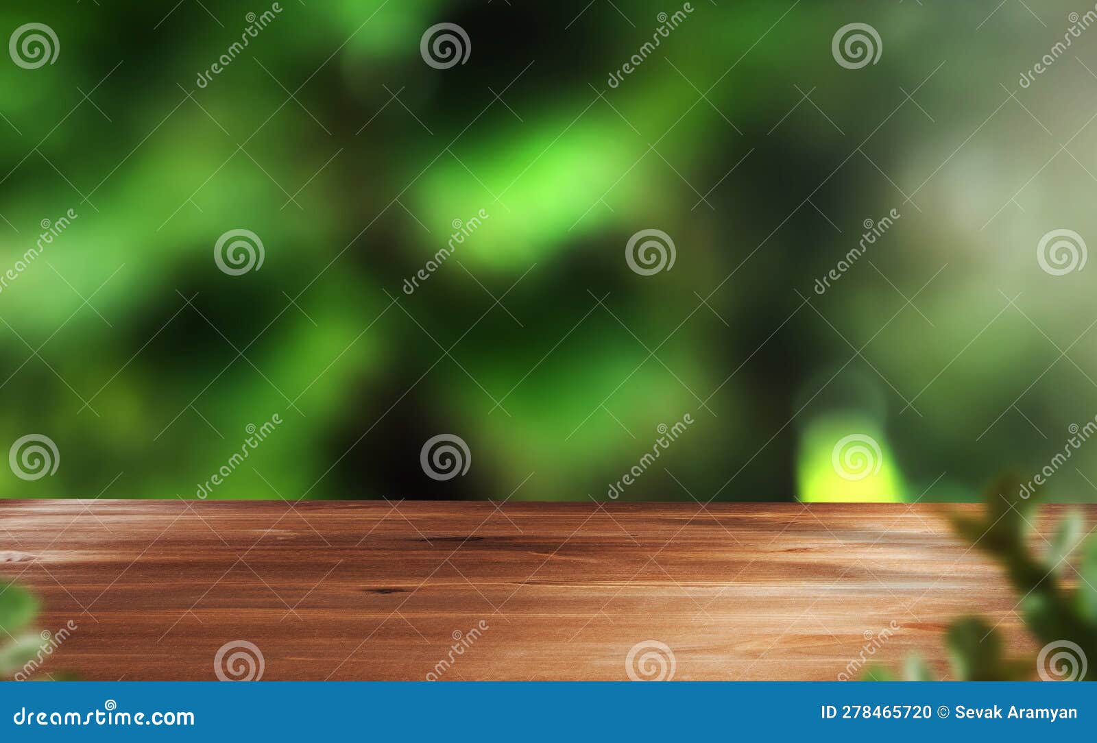 Wood with Green Leaves in Forest Stock Photo Image of natural, design