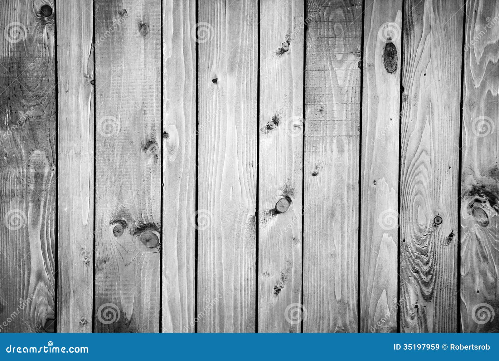 The grey wood texture with natural patterns background.