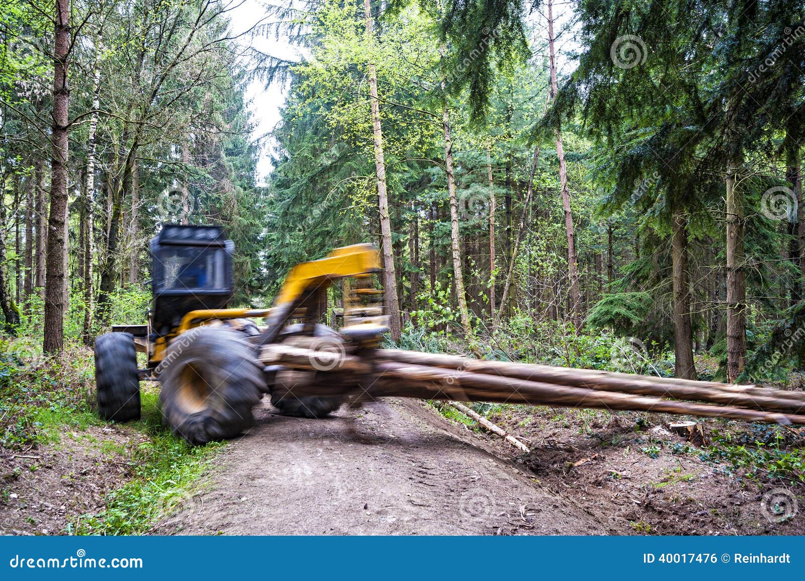 Wood hauling stock photo. Image of remote, arbor, fuel 40017476