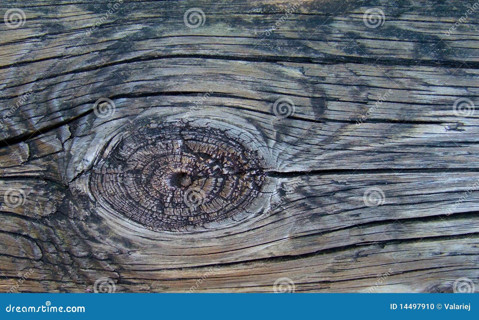 Wood Knot Stock Photo - Image: 14497910