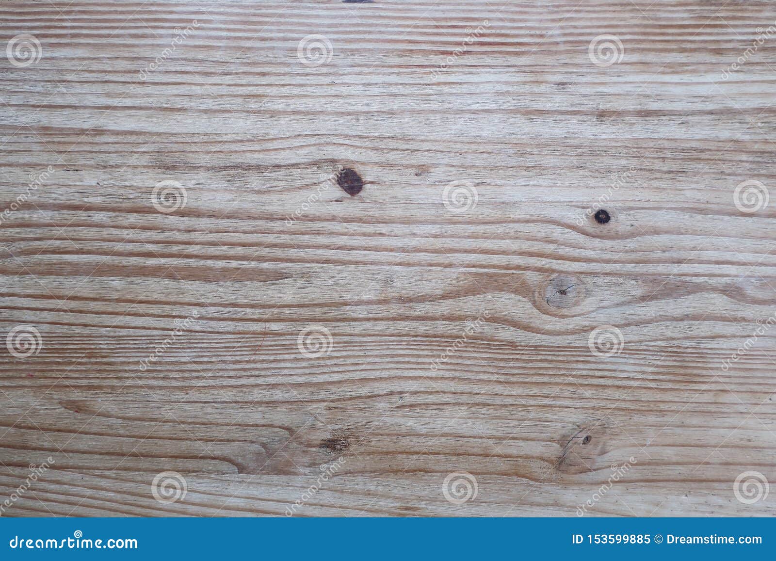 Wood with knots texture stock image. Image of panel 153599885