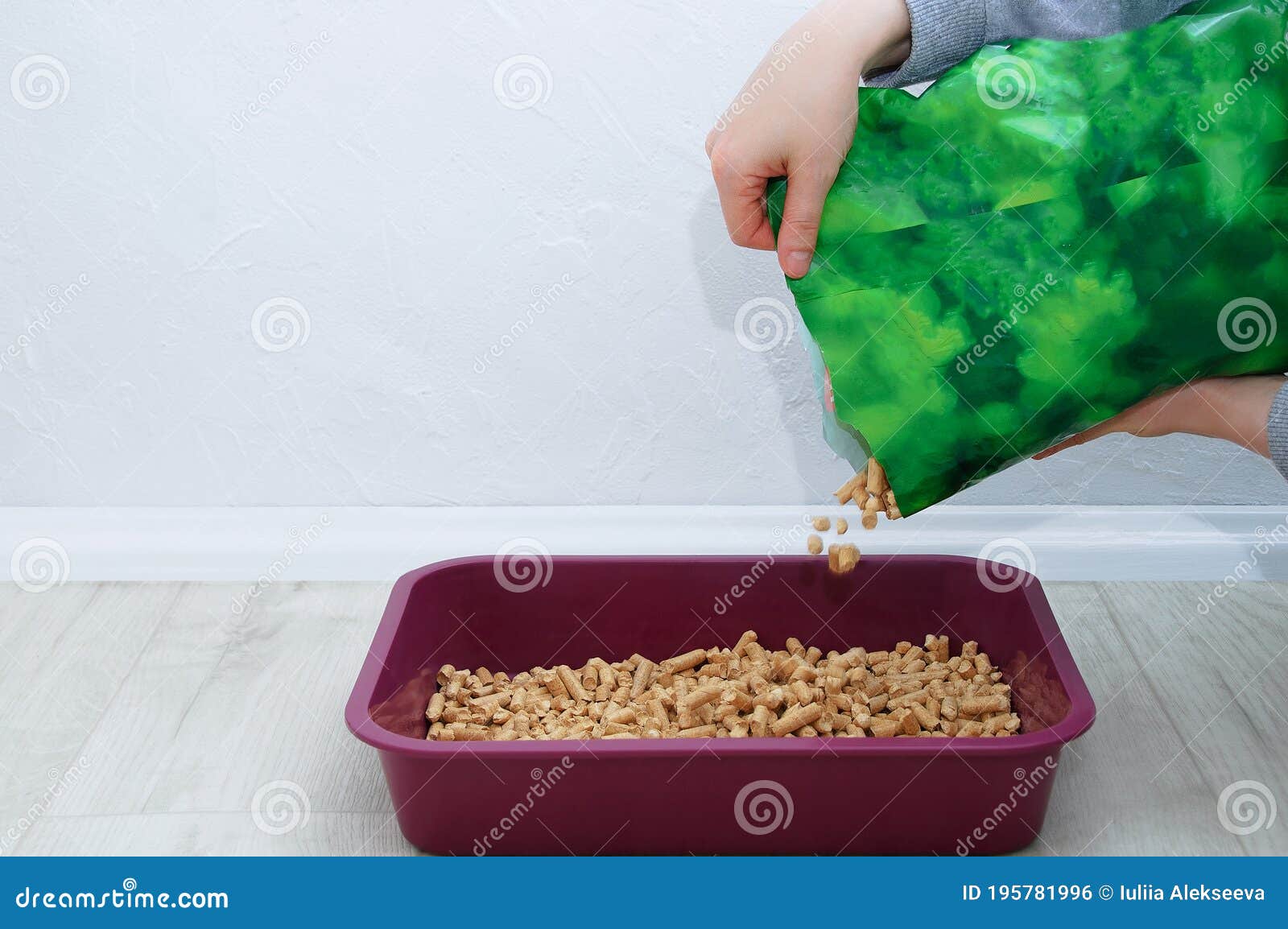 Wood Litter for Cat Litter. Pour Closeup into Tray Stock Photo Image
