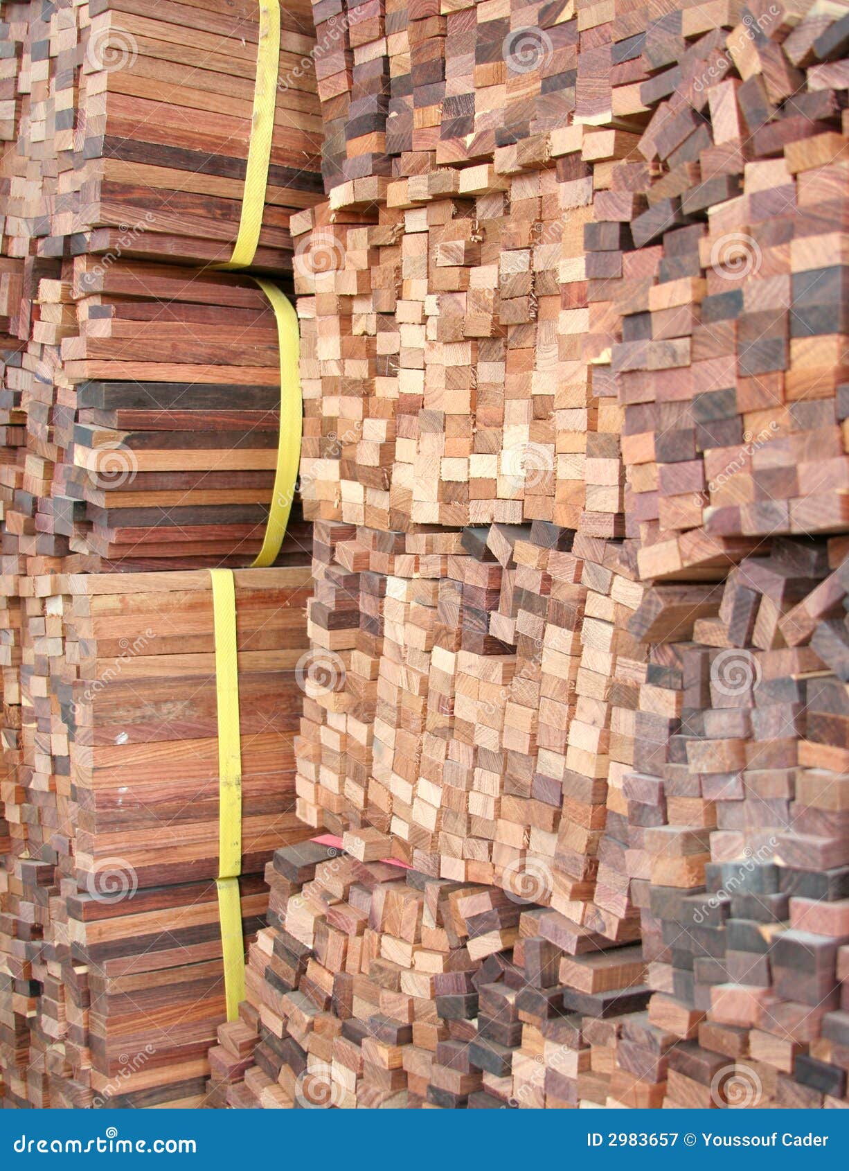 Natural Teak Wood Log
