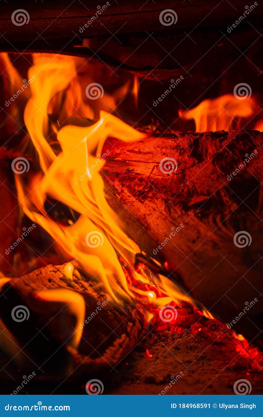wood log burning in the chimenea. fire wood, coal and amber ash closeup. red tongues of flame and glowing amber.