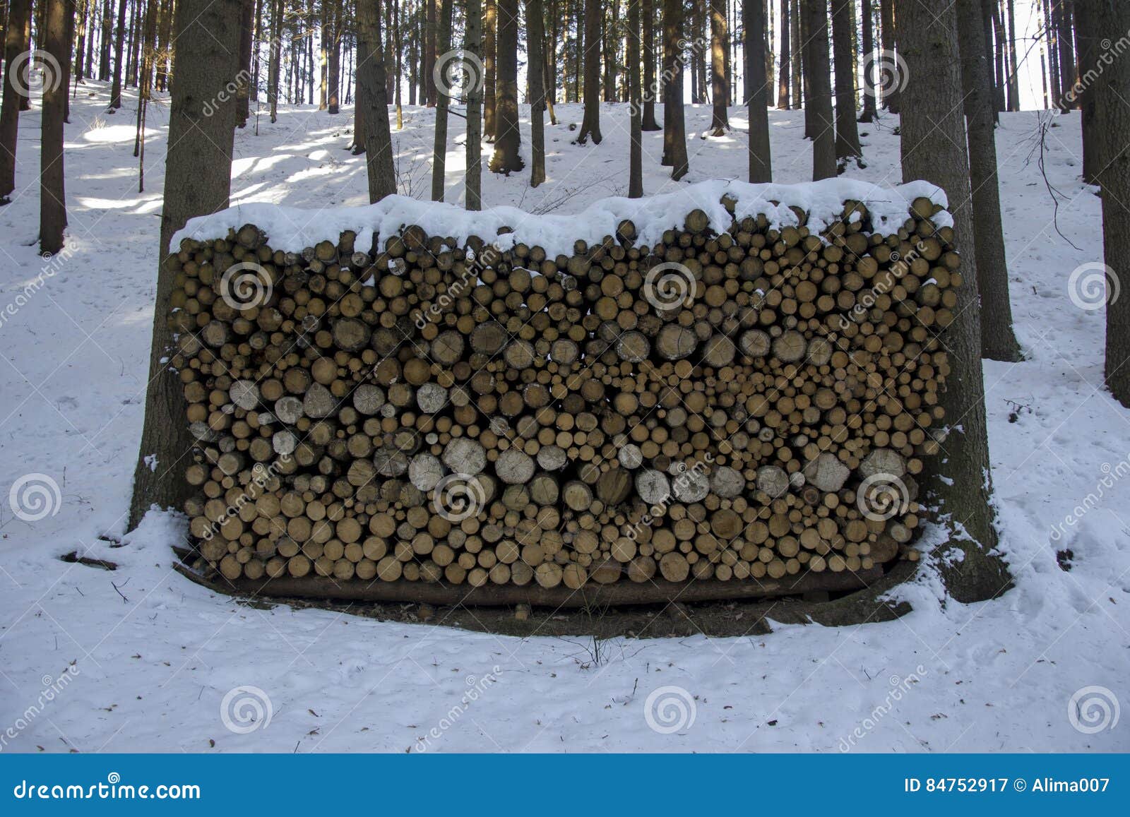 Wood Logs Stack Stored during Winter Stock Image Image of rural