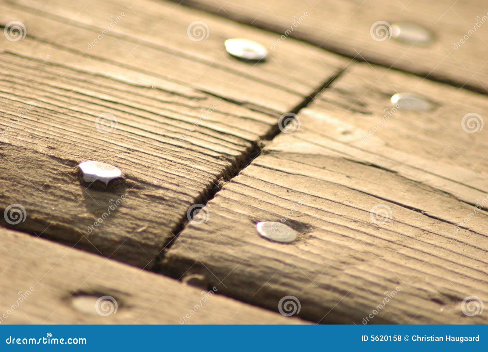 Wood and nails stock photo. Image of nails, wood, seaside 5620158