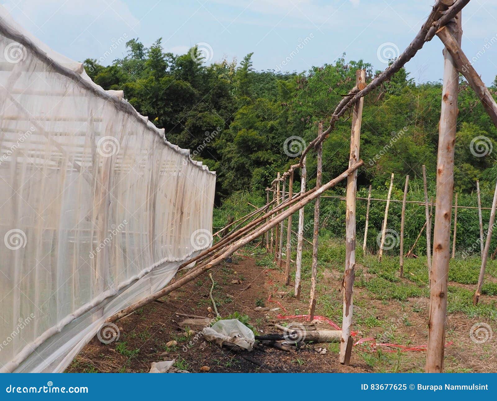 Wood Nethouse Construction. Stock Image Image of agriculture