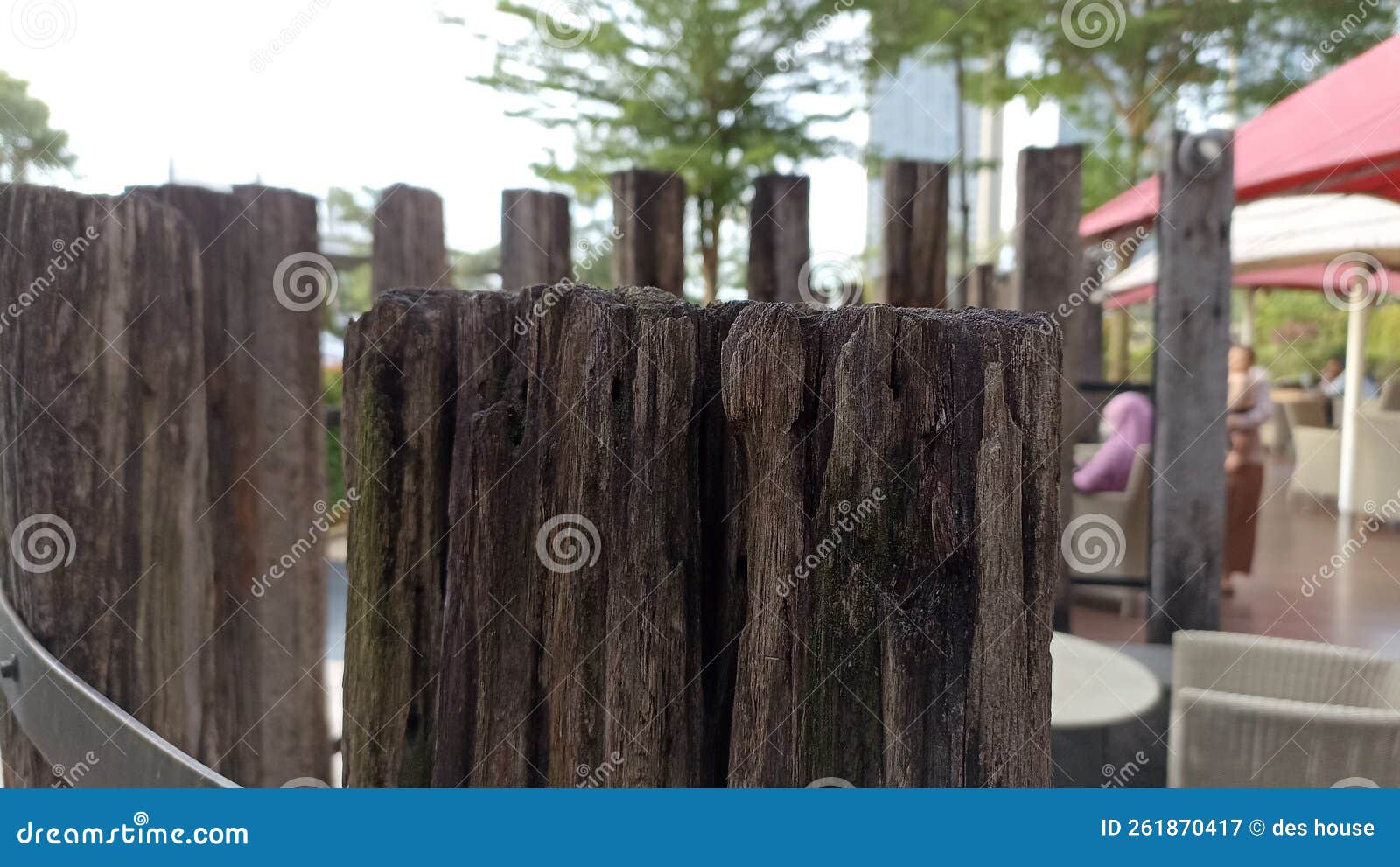 wood pagar garden park tree