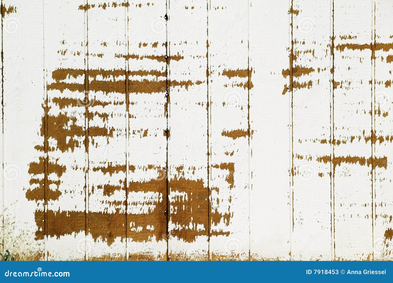 Wood and Paint Texture stock image. Image of whitewash 7918453