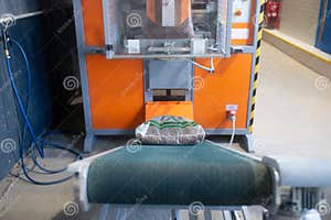Wood Pellet Production Machine In Factory Pellet Manufacturing In Wood 