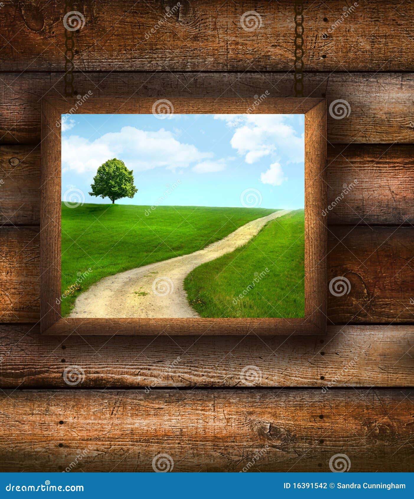 Wood Picture Frame on on Pine Wood Stock Photo Image of texture