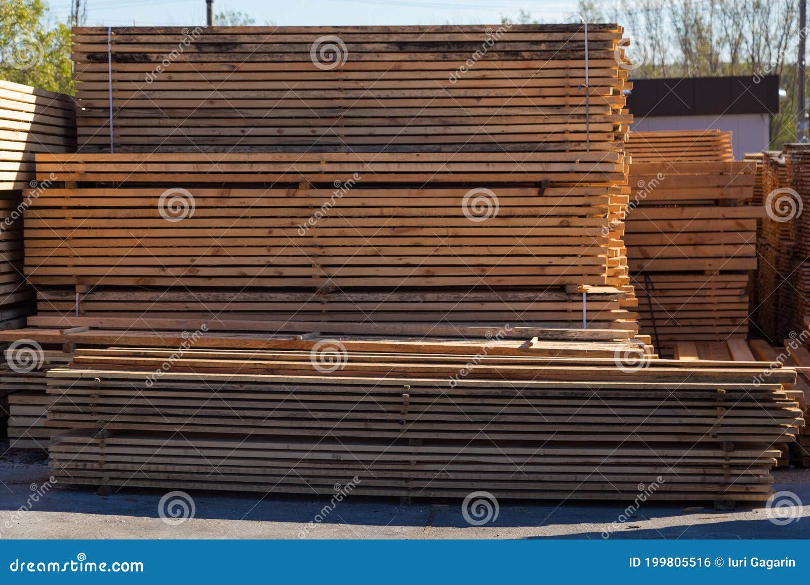 Wood Planks for Sale. Stacks of Processed Wood at the Timber Yard Stock