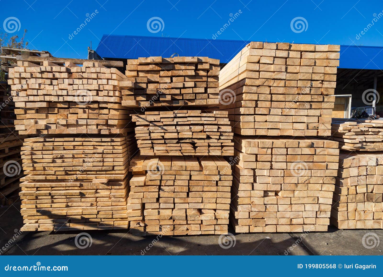 Wood Planks for Sale. Stacks of Processed Wood at the Timber Yard Stock