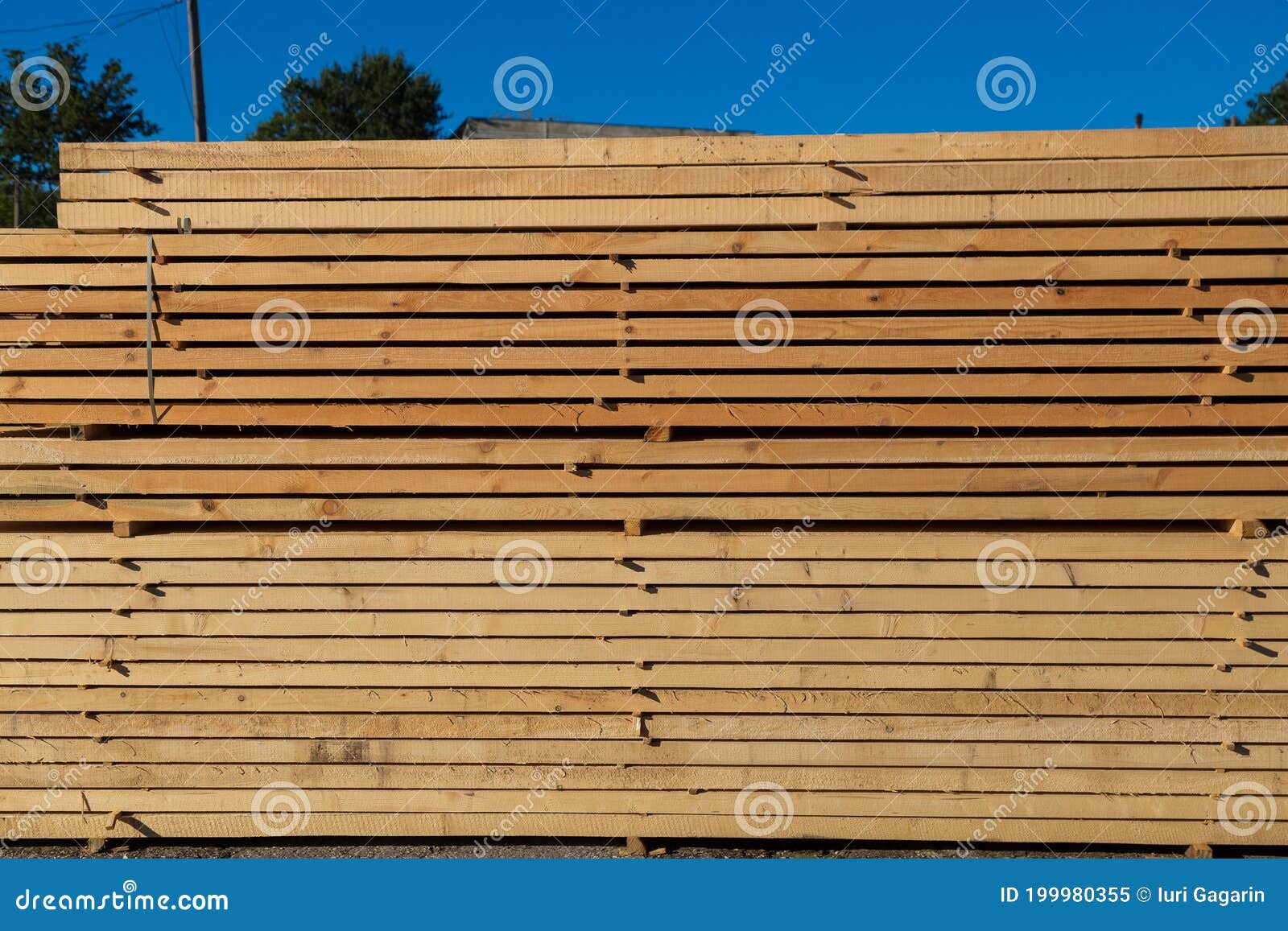 Wood Planks for Sale. Stacks of Processed Wood at the Timber Yard Stock
