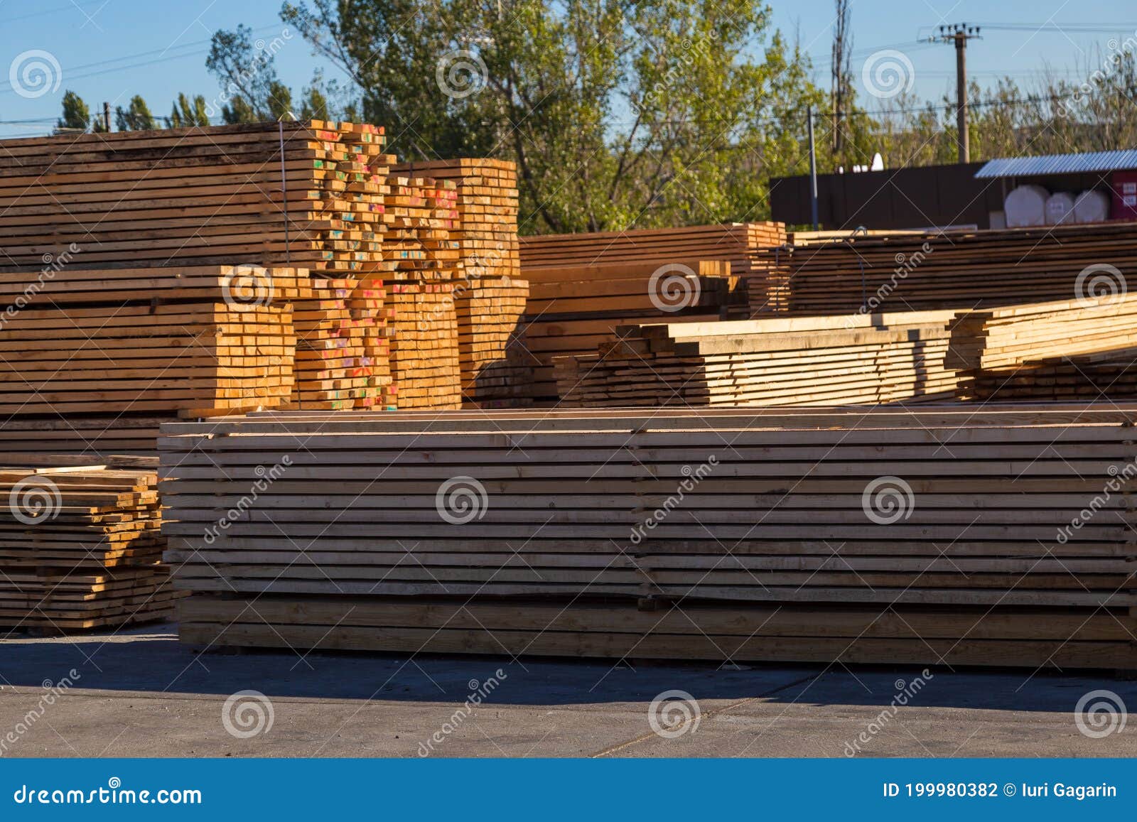 Wood Planks for Sale. Stacks of Processed Wood at the Timber Yard Stock