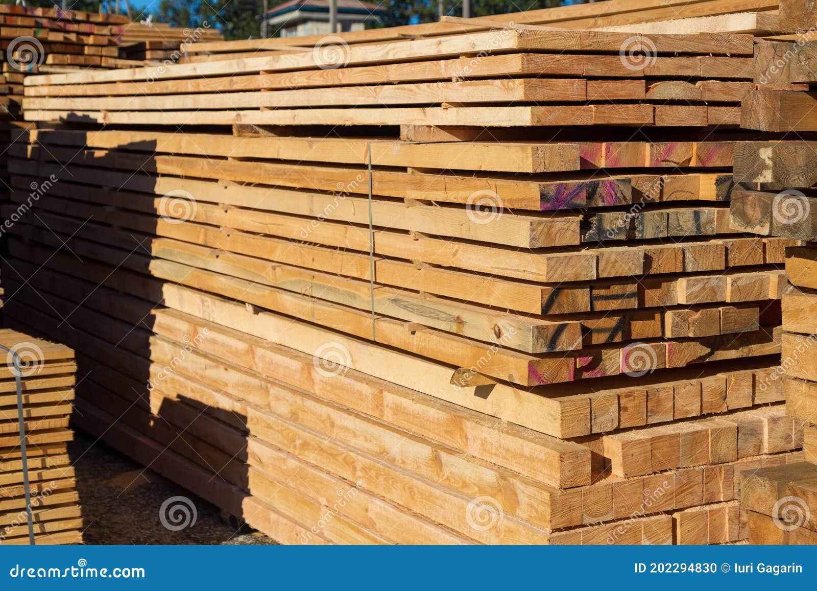 Wood Planks for Sale. Stacks of Processed Wood at the Timber Yard Stock Photo Image of pile