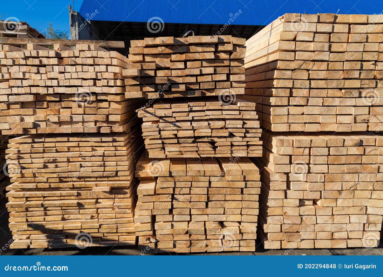 Wood Planks for Sale. Stacks of Processed Wood at the Timber Yard Stock