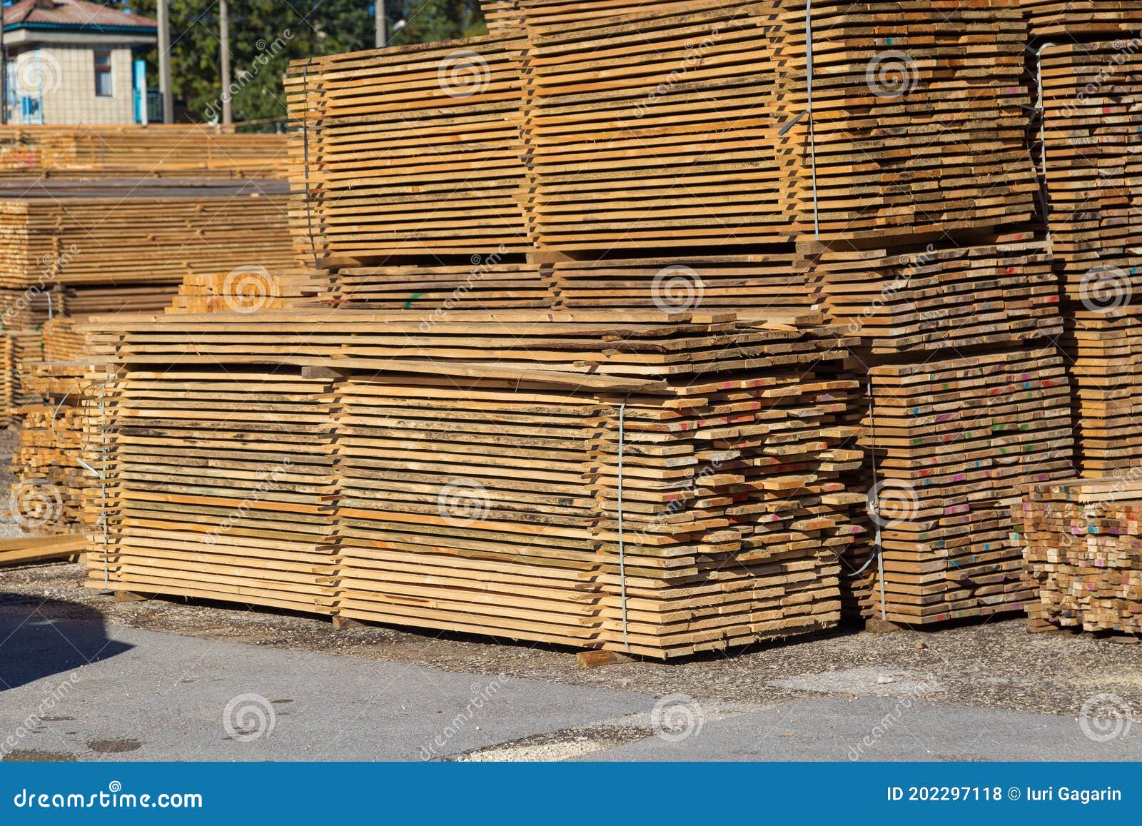 Wood Planks for Sale. Stacks of Processed Wood at the Timber Yard Stock Photo Image of planks