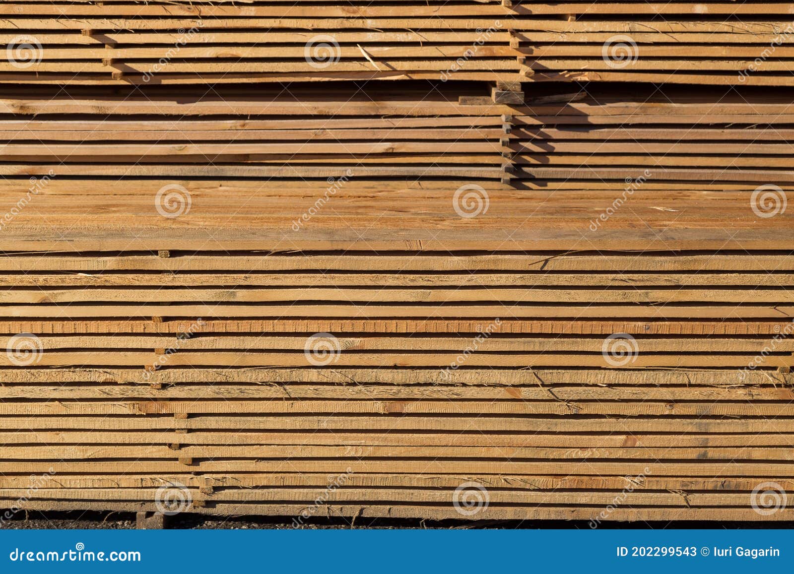 Wood Planks for Sale. Stacks of Processed Wood at the Timber Yard Stock Image Image of