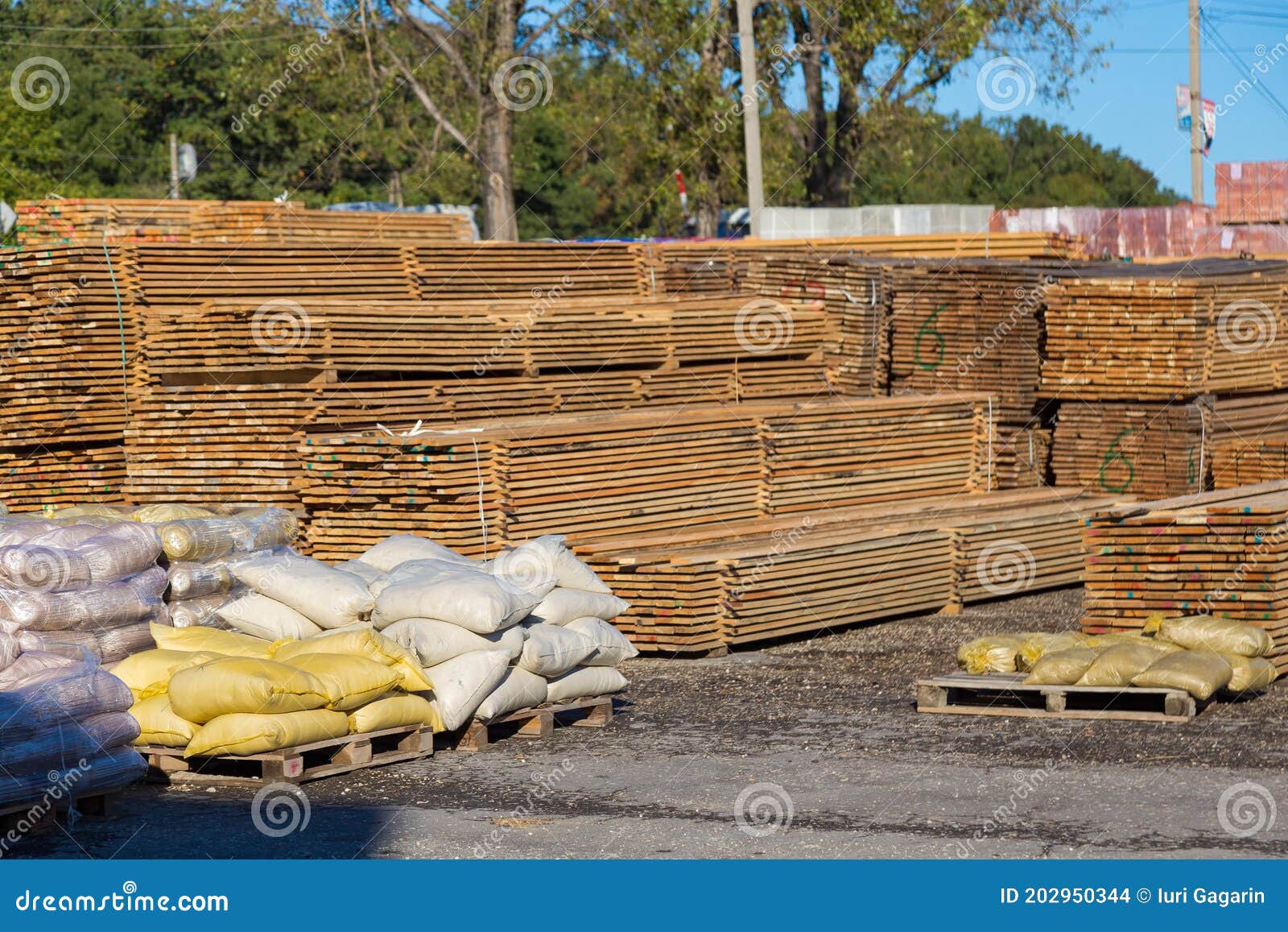 Wood Planks for Sale. Stacks of Processed Wood at the Timber Yard Stock Photo Image of
