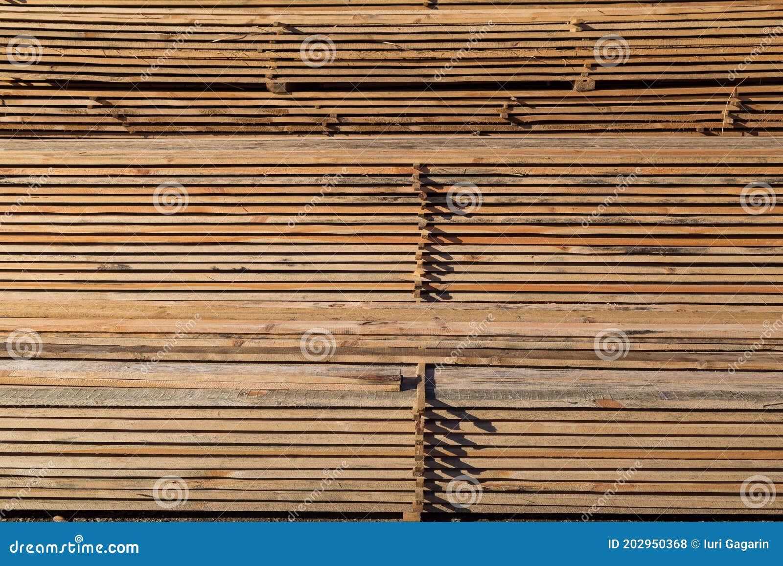 Wood Planks for Sale. Stacks of Processed Wood at the Timber Yard Stock Photo Image of plant