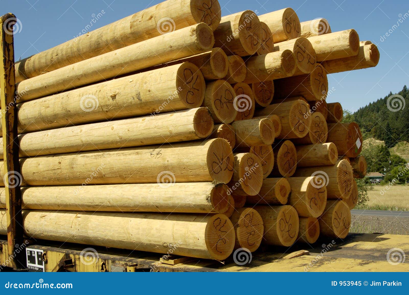 wood poles 2