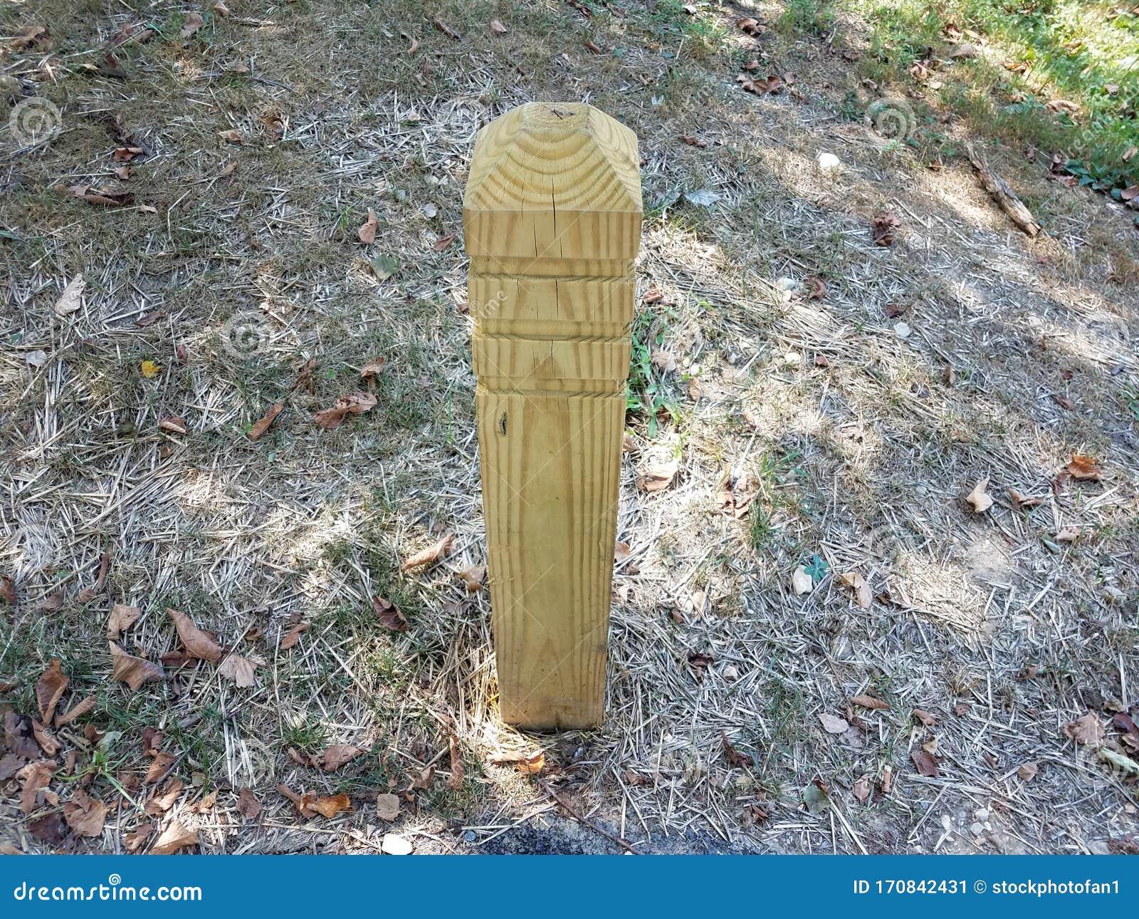 Wood Post or Pole or Bollard in Ground with Straw Stock Image Image