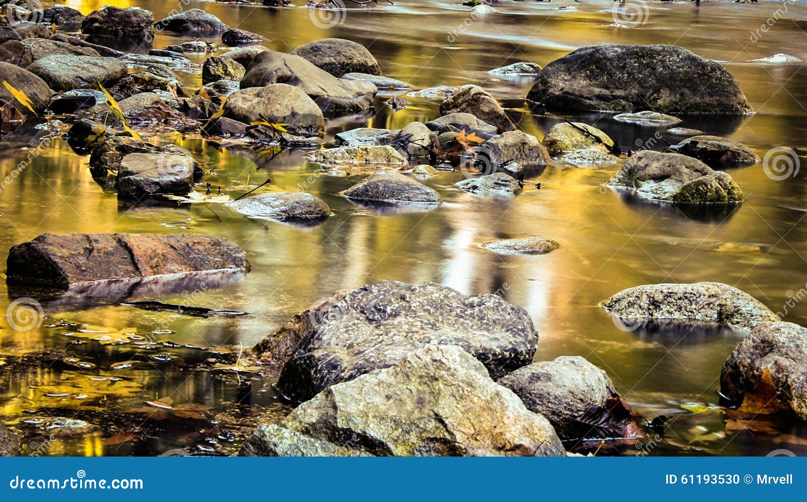 Wood in the river stock photo. Image of stone, forest 61193530