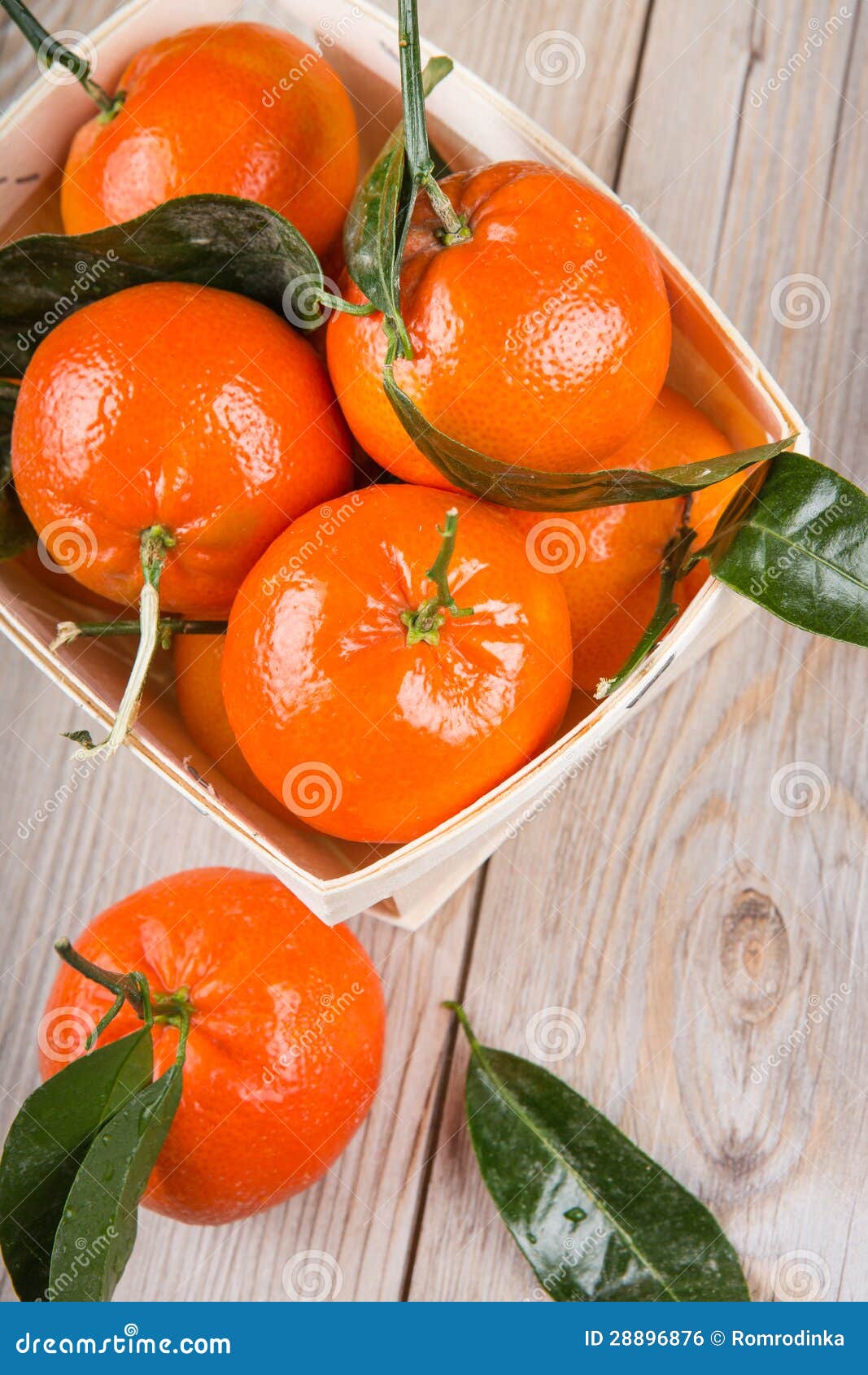 A Wood Rustic Crate Full of Clementine Mandarin Oranges. Stock Photo
