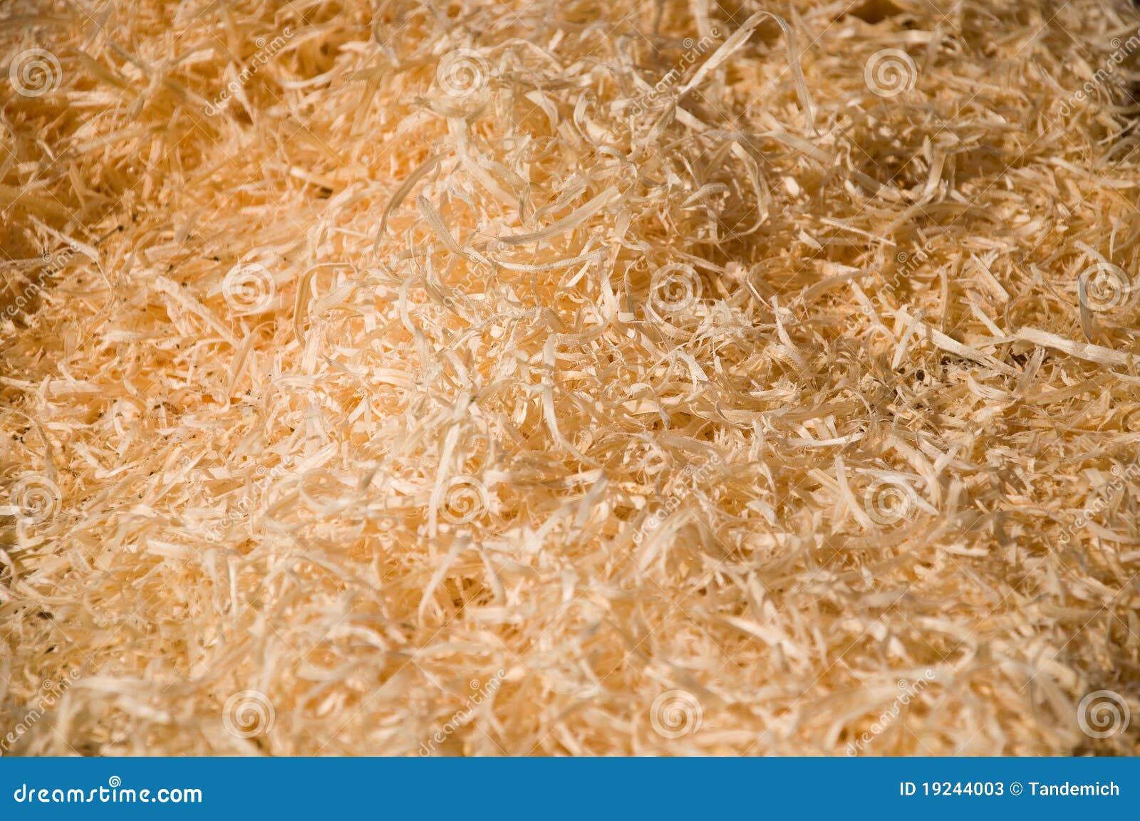 Wood sawdust stock image. Image of gold, wood, pattern 19244003
