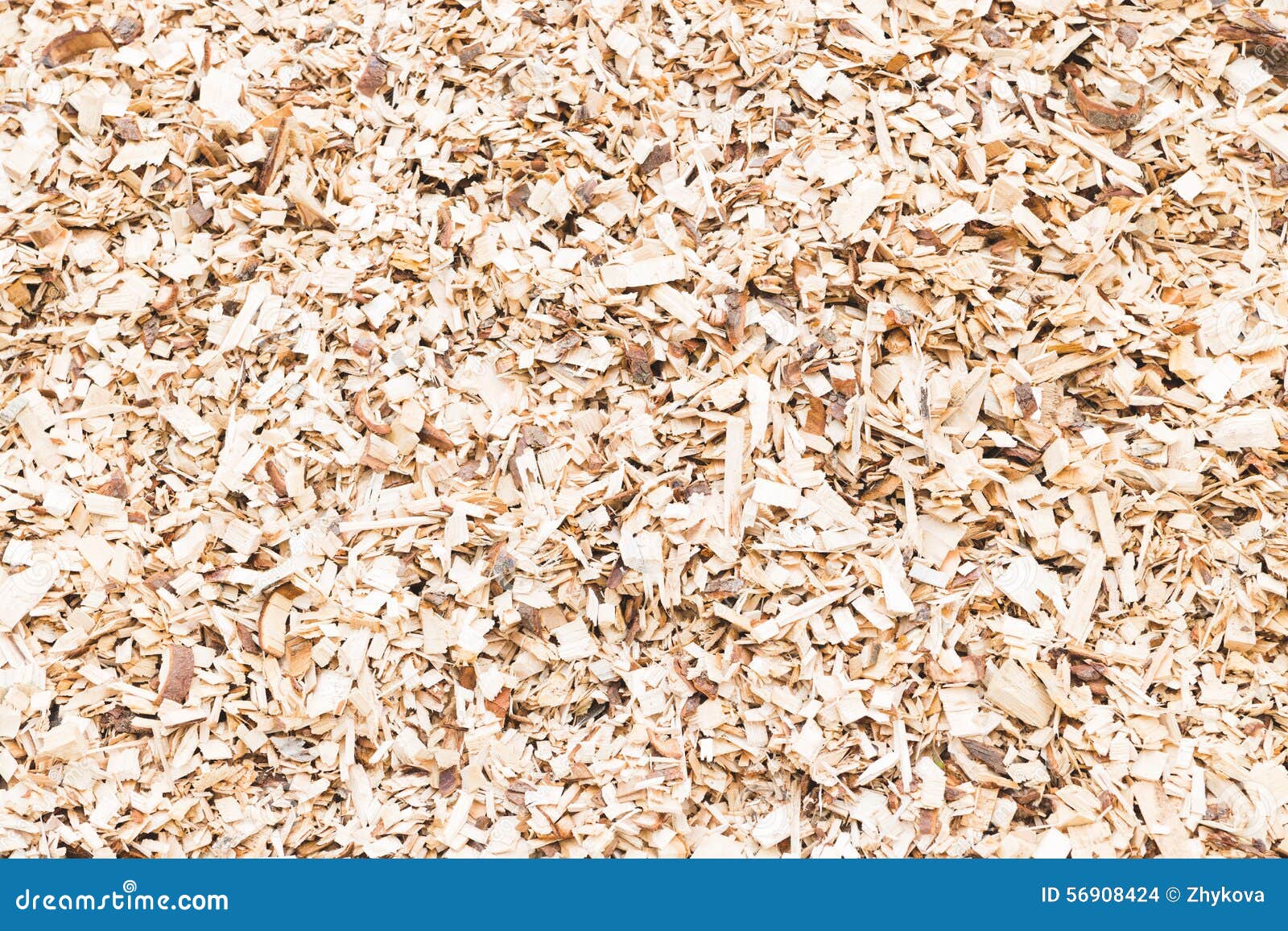 Wood sawdust stock photo. Image of rough, rings, aging 56908424