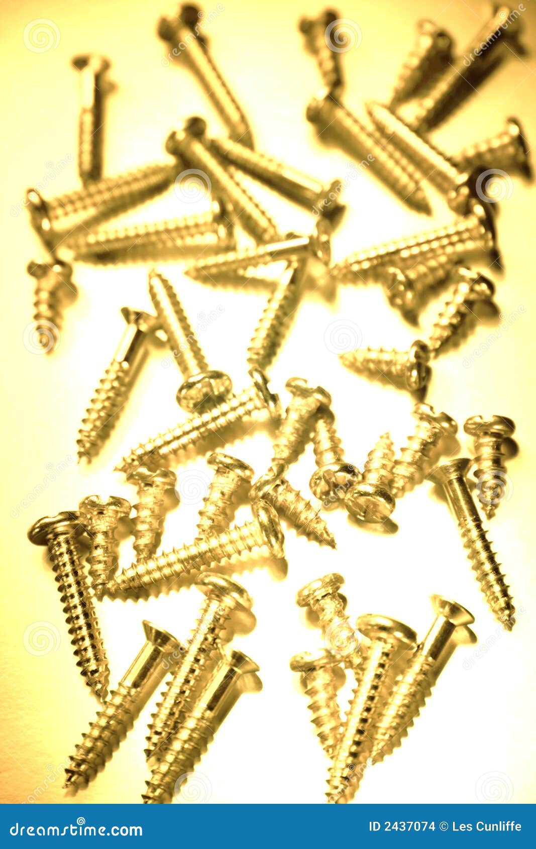 Wood screws stock photo. Image of screws, length, steel 2437074